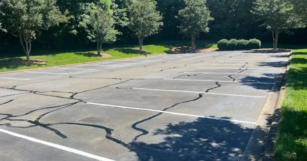 Cracked asphalt parking lot with trees